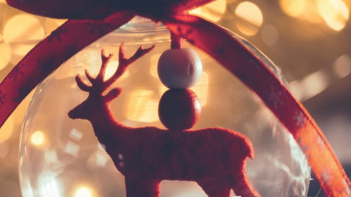 Infobrief_2025_Cover